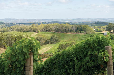 Pike And Joyce Wines - Queensland Tourism 2