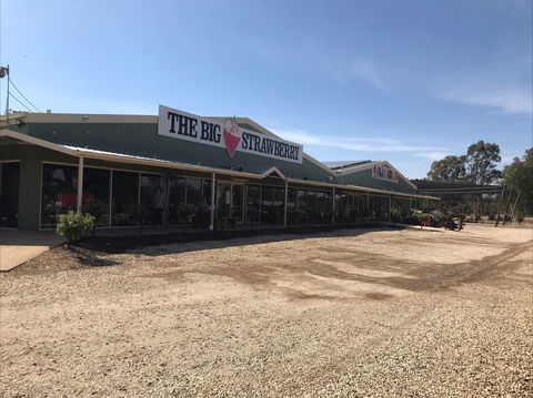 The Big Strawberry - Queensland Tourism 1