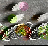 Verd - Surry Hills - Queensland Tourism