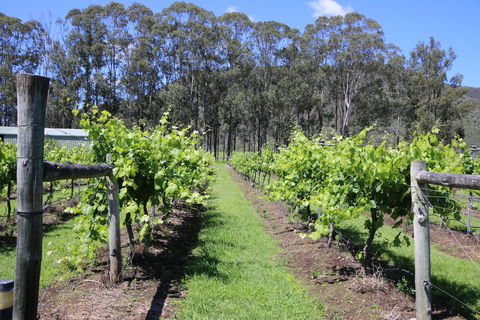 Woongooroo Estate Winery - Queensland Tourism 0