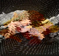 Bar H Dining - Queensland Tourism