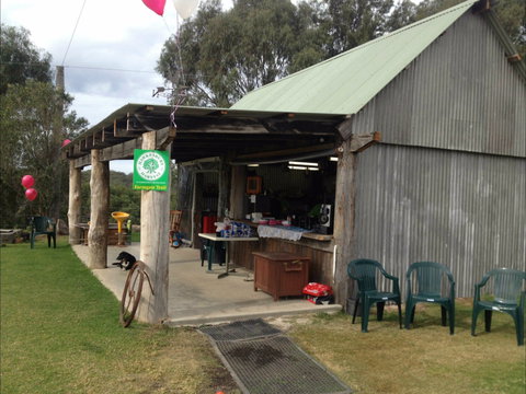 Canoelands Orchard - QLD Tourism 0