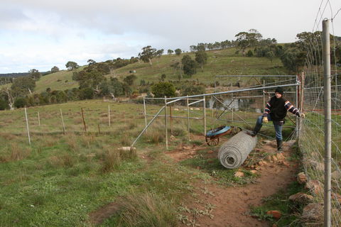 Hahndorf Venison - Queensland Tourism 1