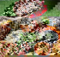 Manic Organic