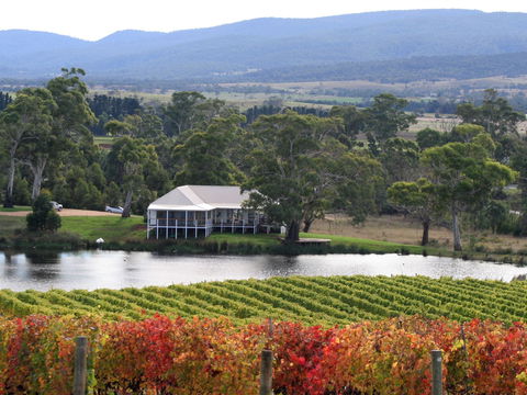 Milton Vineyard - Queensland Tourism 0