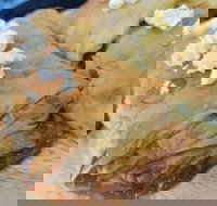 Amphora Bar  Grill - Queensland Tourism