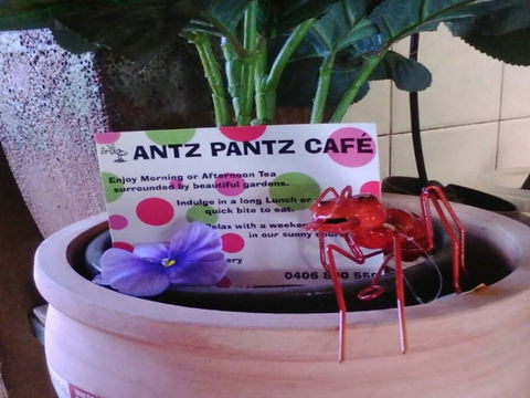 Antz Pantz Cafe - QLD Tourism 0