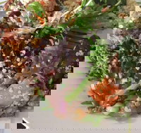 Euro Bites - Queensland Tourism