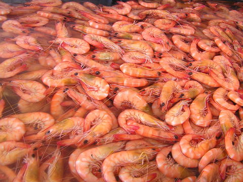 Grunske's By The River Seafood Market And Restaurant - Queensland Tourism 0