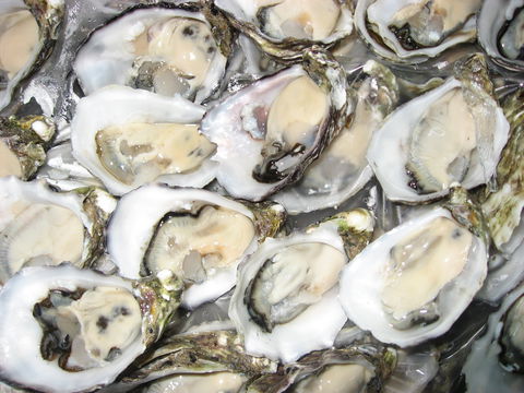 Grunske's By The River Seafood Market And Restaurant - Queensland Tourism 1