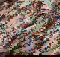 Il Maestro - Queensland Tourism