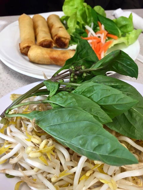 PHO 234 - QLD Tourism 0