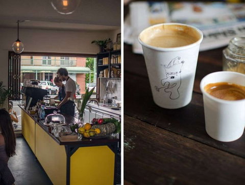 Punch And Daisy - QLD Tourism 0