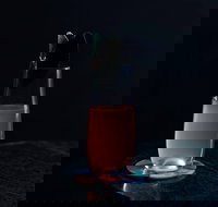 Scout Sydney - Queensland Tourism