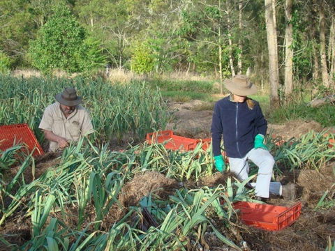 Sweet Water Farm - Queensland Tourism 0