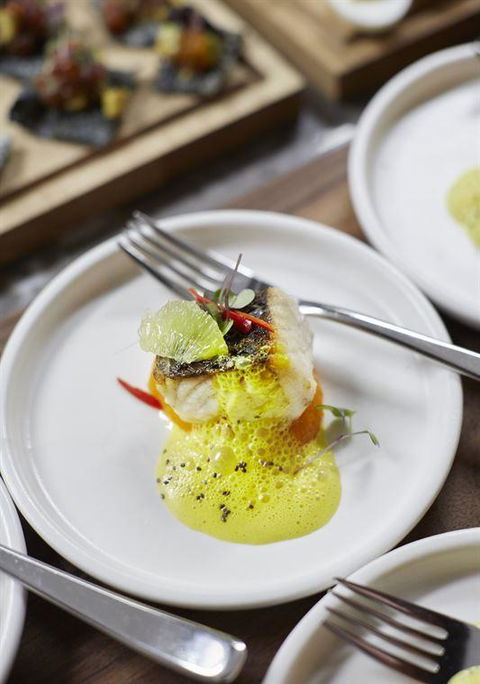 Asana By Pete Evans - QLD Tourism 23
