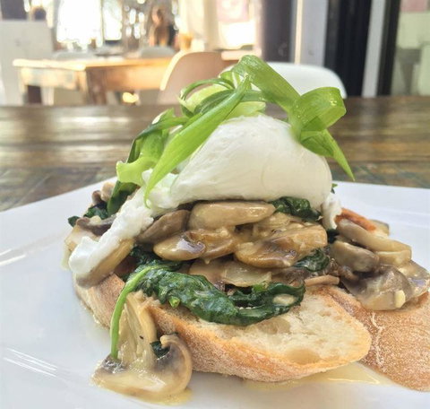 Jack And Shanan's - QLD Tourism 13