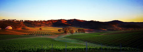 Dalwhinnie Wines - QLD Tourism 0