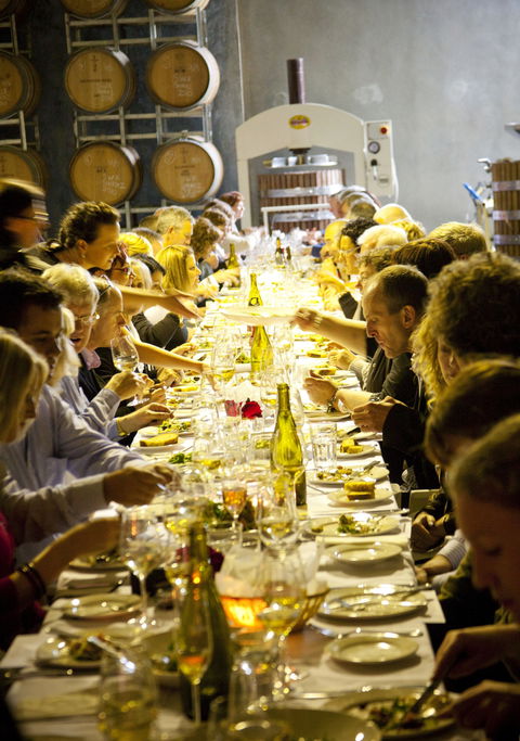 Dalwhinnie Wines - QLD Tourism 2