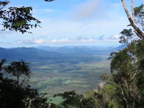 Platypus Lodge Restaurant And Cafe - Queensland Tourism 0