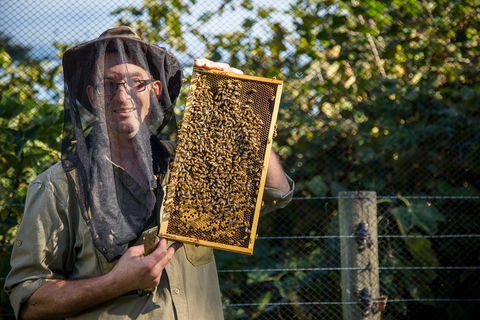 Pure Peninsula Honey - Queensland Tourism 0