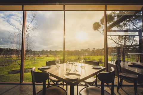 Stumpy Gully Vineyard - Queensland Tourism 1