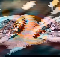 Floca Cafe - Queensland Tourism