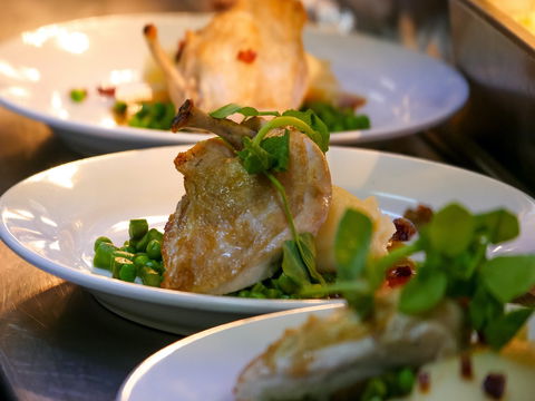 Griffith Exies Club - Queensland Tourism 1