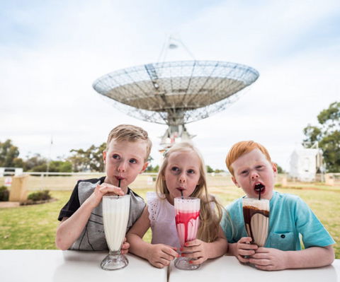 The Dish Cafe - Queensland Tourism 0