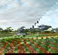 Vasse Felix Winery - Queensland Tourism