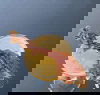 Maybe Frank - Surry Hills - Queensland Tourism