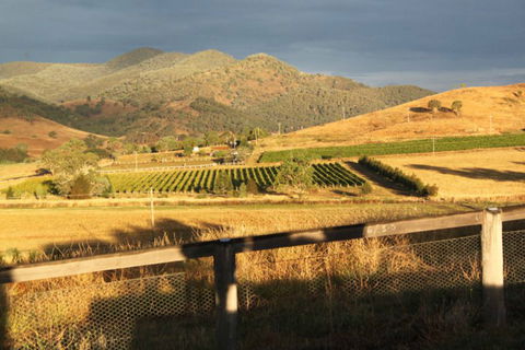 Optimiste Wines - Queensland Tourism 0