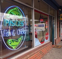 Pisces Fish  Chicks - QLD Tourism