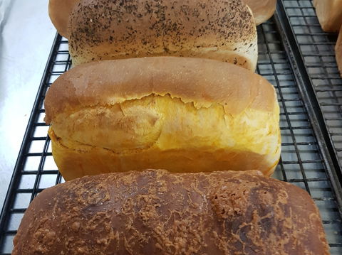 Plantation Organic Bakery - Queensland Tourism 0