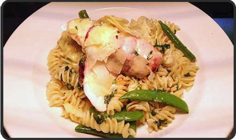 Spotty Cat - QLD Tourism 0