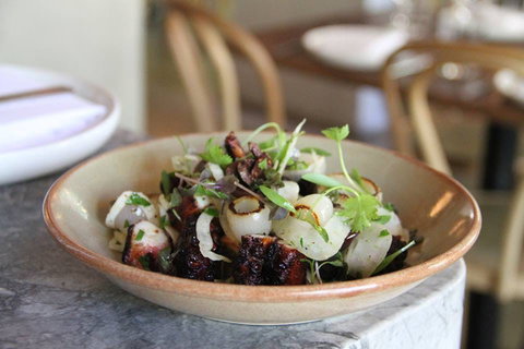 The Apollo - Queensland Tourism 0