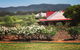 Hanging Tree Wines - thumb 0