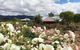 Hanging Tree Wines - thumb 1