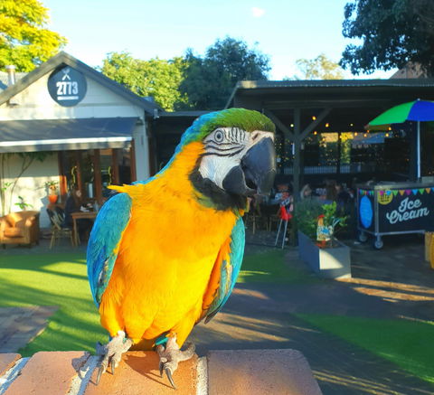 Cafe 2773 - Queensland Tourism 2