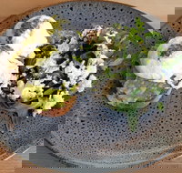 Frothy - Queensland Tourism