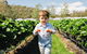 Hillwood Berries Farmgate & Pick Your Own - thumb 0