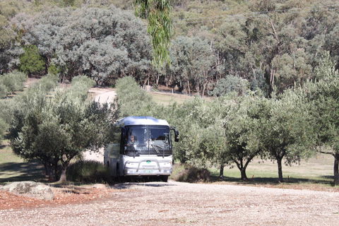 L'Oliveraie Olive Grove - QLD Tourism 2