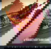 Noodle Box - Coolangatta - QLD Tourism