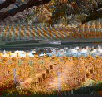 Sanguine Estate - Queensland Tourism