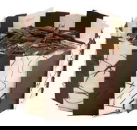 Wendy's - Oakleigh - Queensland Tourism