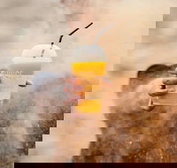 Joe and the Juice - Elizabeth Bay - Queensland Tourism