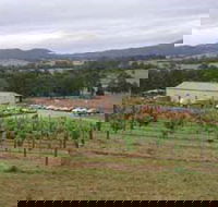 Villa d Esta Vineyard - Queensland Tourism