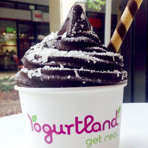 Yogurtland - Prairiewood - QLD Tourism 0