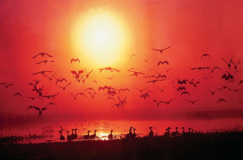 Exotic North Indian Cuisine - QLD Tourism 0