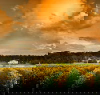 Fraser Gallop Estate - QLD Tourism